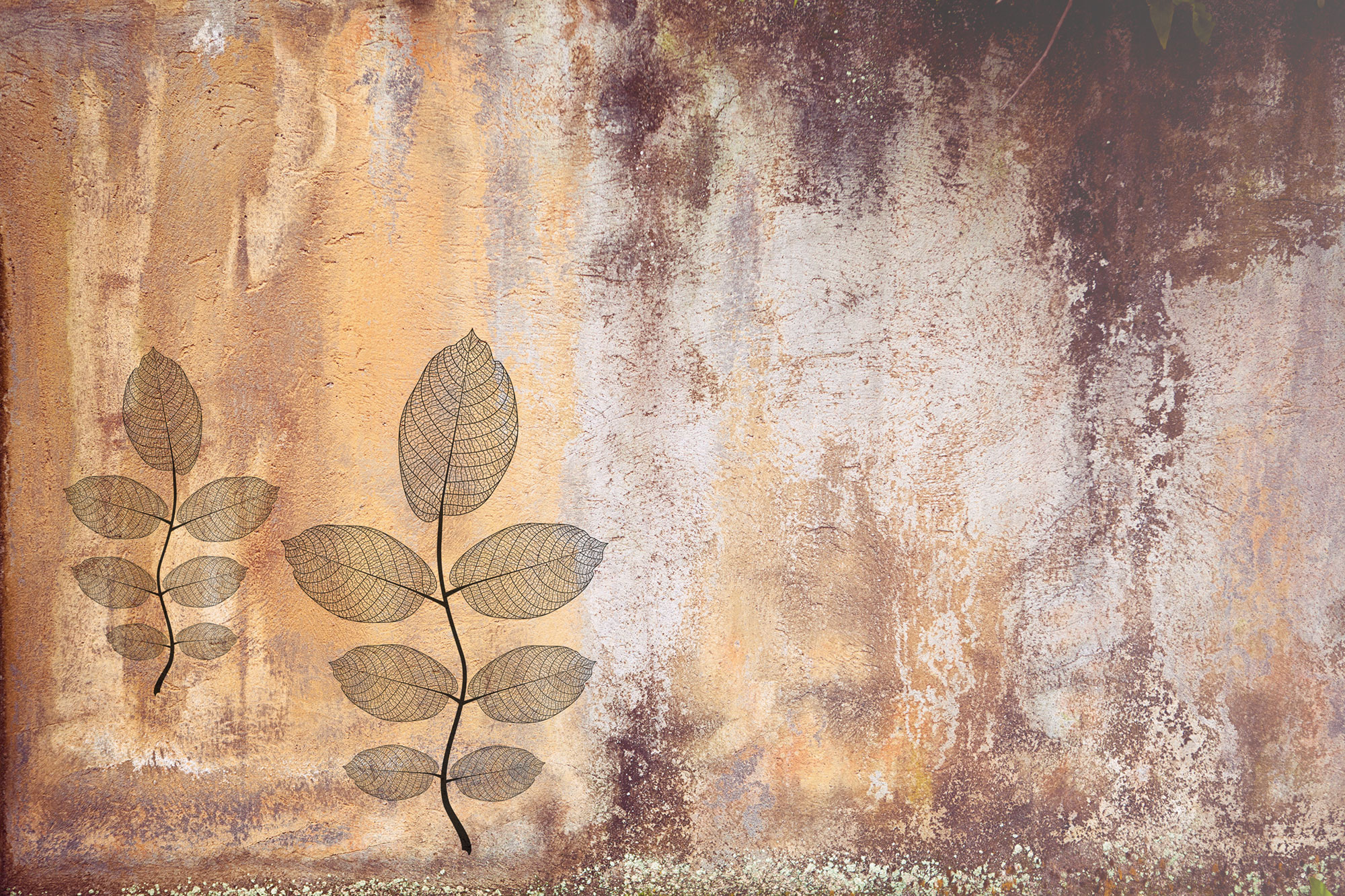 Fototapety na míru, Listy, 5003, My Dream, Vavex